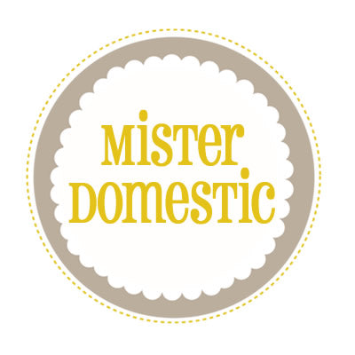 Mister Domestic