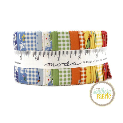 Picture Perfect Jelly Roll (40 pcs) by American Jane for Moda (21800JR)