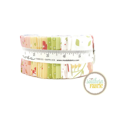 Sunwashed Jelly Roll (40 pcs) by Corey Yoder for Moda (29160JR)